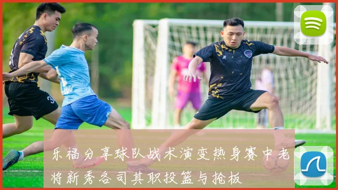 乐福分享球队战术演变热身赛中老将新秀各司其职投篮与抢板